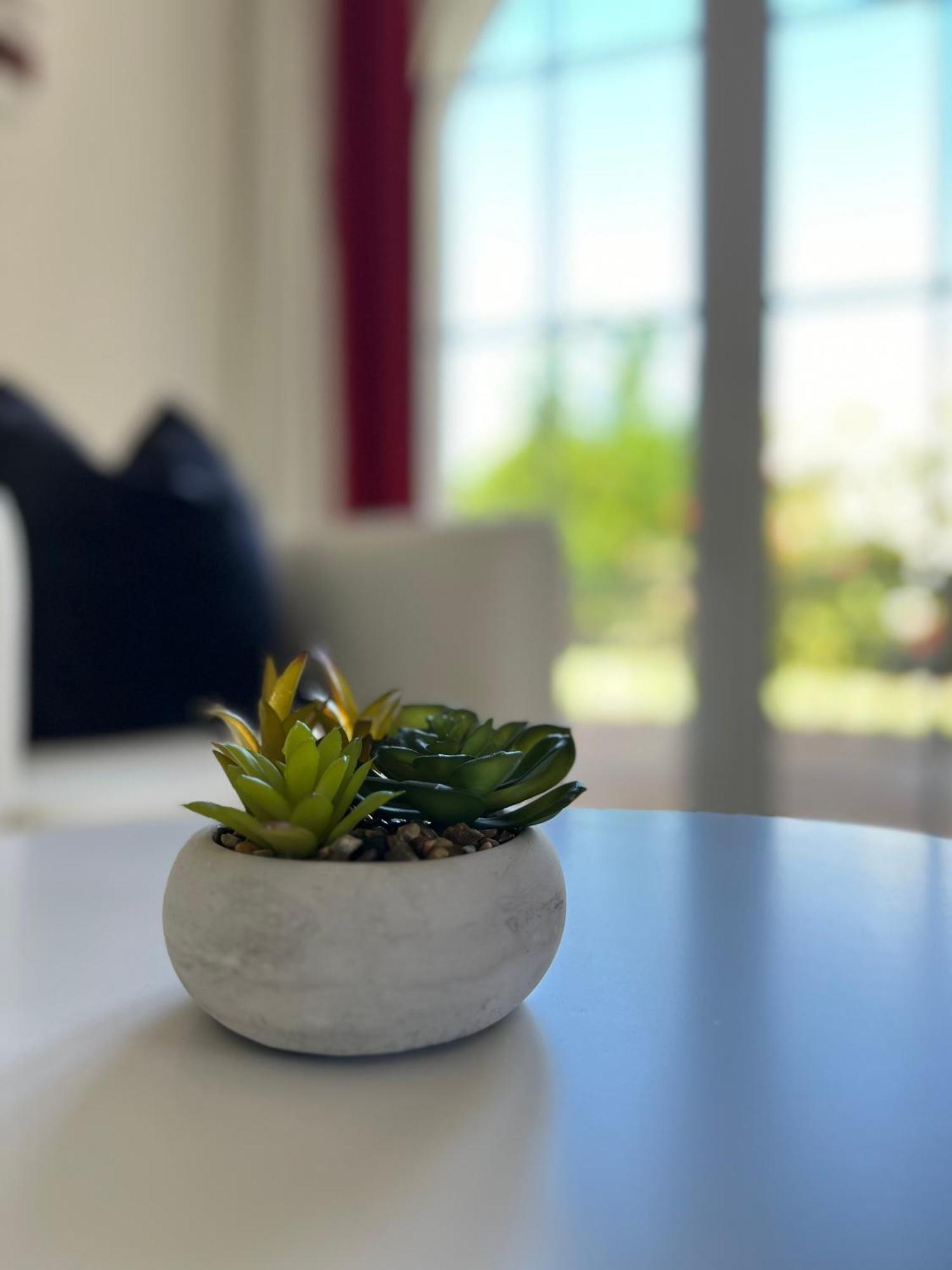 Vila Relaxmountain B&B São Bartolomeu de Messines Kültér fotó