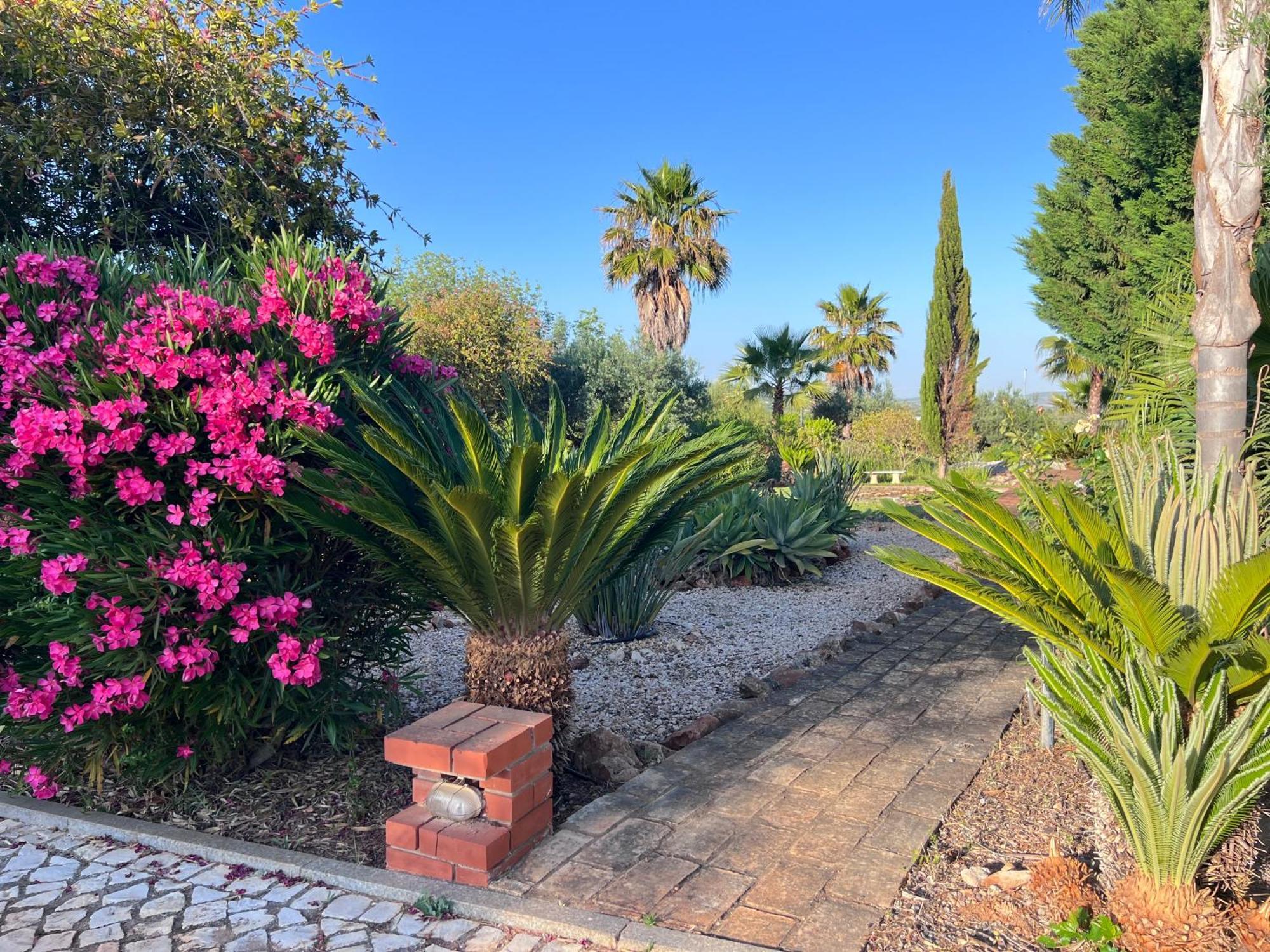 Vila Relaxmountain B&B São Bartolomeu de Messines Kültér fotó