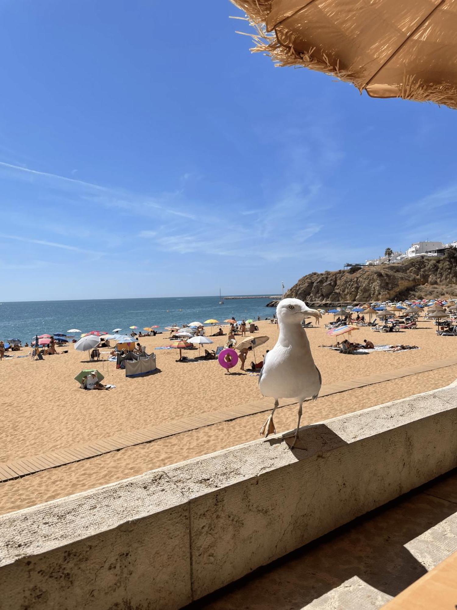 Vila Relaxmountain B&B São Bartolomeu de Messines Kültér fotó